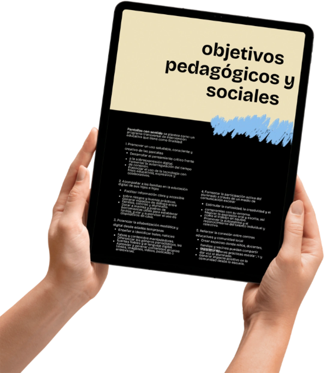 Objetivos del programa
